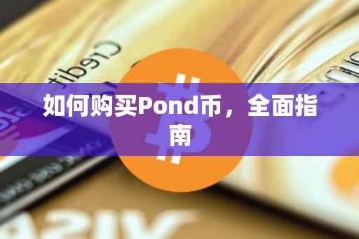 如何购买Pond币，全面指南