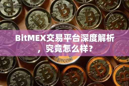 BitMEX交易平台深度解析，究竟怎么样？