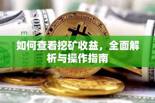 如何查看挖矿收益，全面解析与操作指南