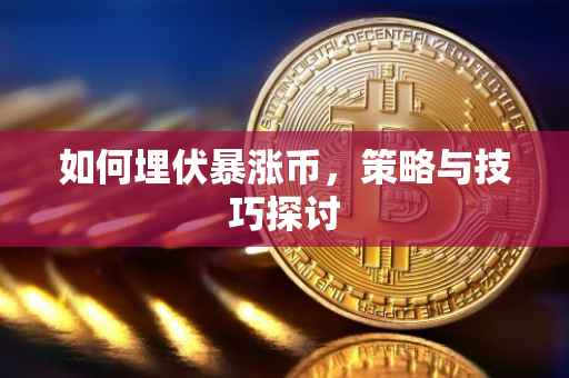 如何埋伏暴涨币，策略与技巧探讨