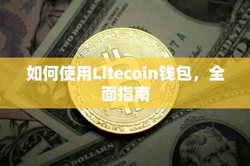 如何使用Litecoin钱包，全面指南