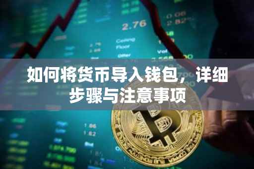如何将货币导入钱包，详细步骤与注意事项