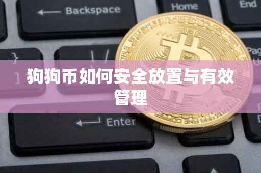 狗狗币如何安全放置与有效管理