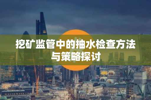 挖矿监管中的抽水检查方法与策略探讨