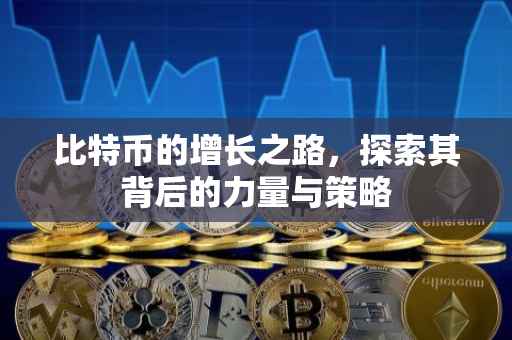 比特币的增长之路，探索其背后的力量与策略