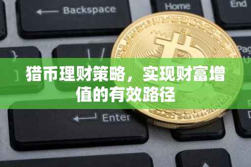 猎币理财策略，实现财富增值的有效路径