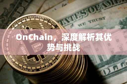 OnChain，深度解析其优势与挑战