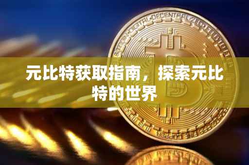 元比特获取指南，探索元比特的世界