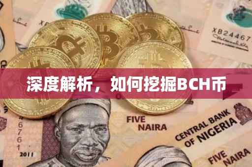 深度解析，如何挖掘BCH币