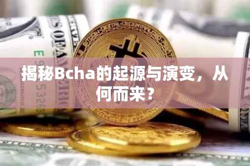 揭秘Bcha的起源与演变，从何而来？