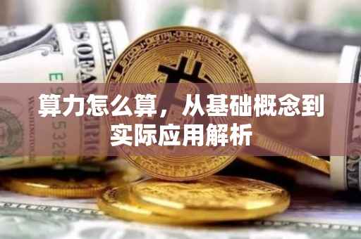 算力怎么算，从基础概念到实际应用解析