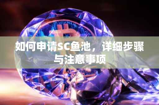 如何申请SC鱼池，详细步骤与注意事项