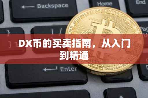 DX币的买卖指南，从入门到精通