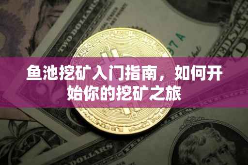 鱼池挖矿入门指南，如何开始你的挖矿之旅