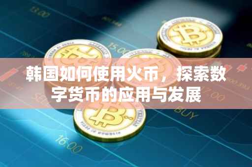 韩国如何使用火币，探索数字货币的应用与发展