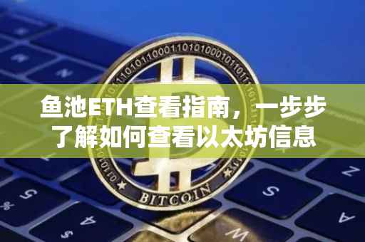 鱼池ETH查看指南，一步步了解如何查看以太坊信息