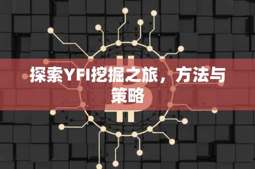 探索YFI挖掘之旅，方法与策略