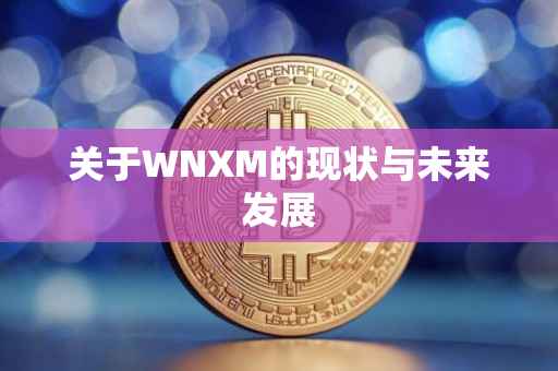 关于WNXM的现状与未来发展