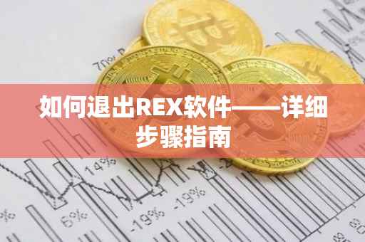 如何退出REX软件——详细步骤指南