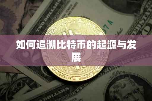 如何追溯比特币的起源与发展