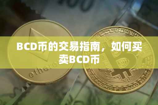 BCD币的交易指南，如何买卖BCD币