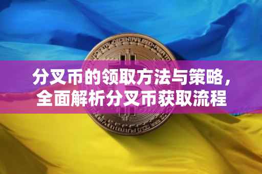 分叉币的领取方法与策略，全面解析分叉币获取流程