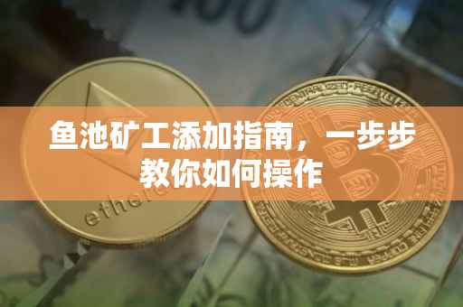 鱼池矿工添加指南，一步步教你如何操作