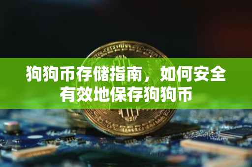 狗狗币存储指南，如何安全有效地保存狗狗币