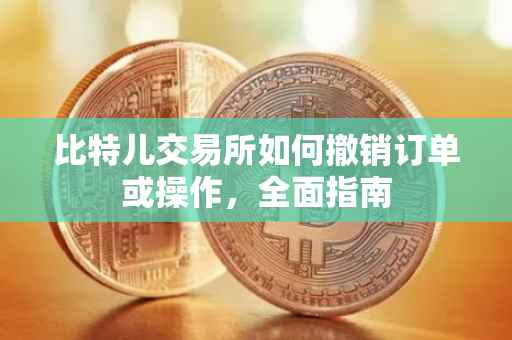 比特儿交易所如何撤销订单或操作，全面指南