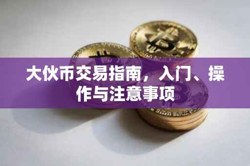 大伙币交易指南，入门、操作与注意事项
