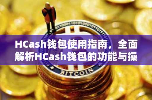 HCash钱包使用指南，全面解析HCash钱包的功能与操作