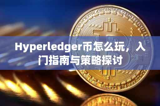 Hyperledger币怎么玩，入门指南与策略探讨