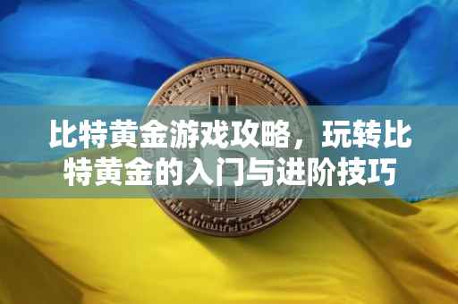 比特黄金游戏攻略，玩转比特黄金的入门与进阶技巧