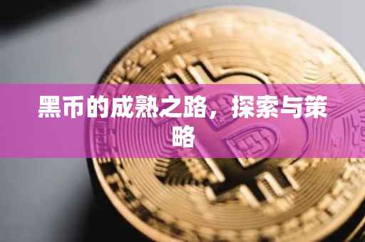 黑币的成熟之路，探索与策略