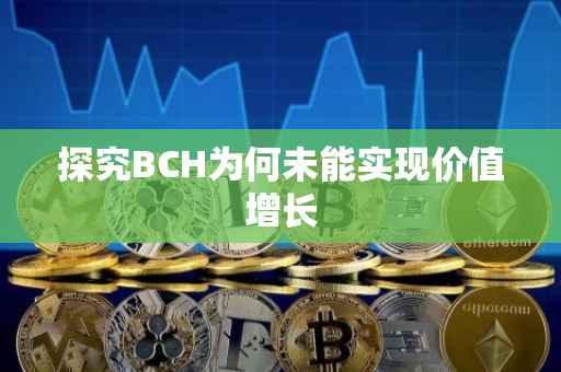 探究BCH为何未能实现价值增长