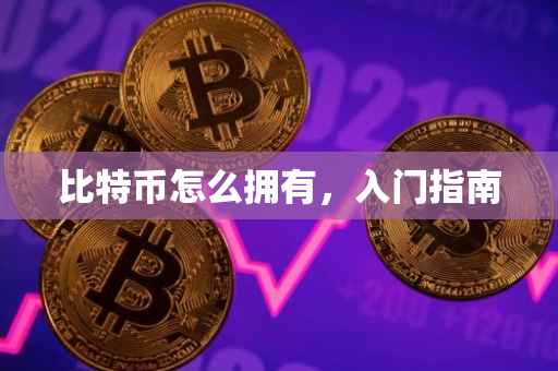 比特币怎么拥有，入门指南