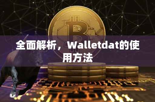 全面解析，Walletdat的使用方法