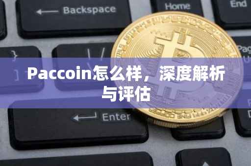 Paccoin怎么样，深度解析与评估
