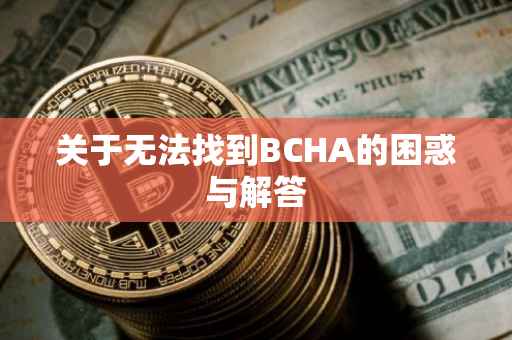关于无法找到BCHA的困惑与解答
