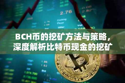 BCH币的挖矿方法与策略，深度解析比特币现金的挖矿过程