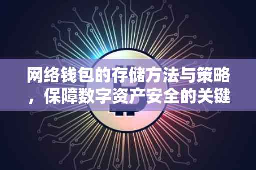 网络钱包的存储方法与策略，保障数字资产安全的关键