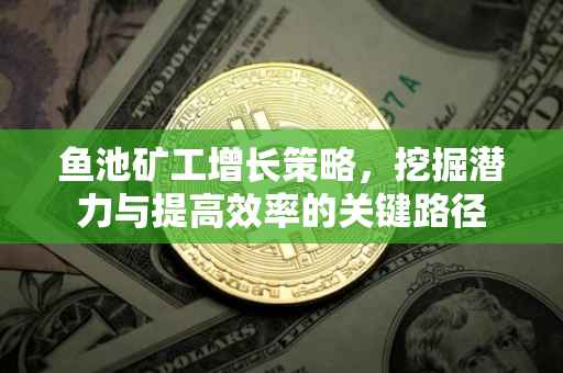 鱼池矿工增长策略，挖掘潜力与提高效率的关键路径