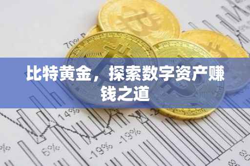 比特黄金，探索数字资产赚钱之道