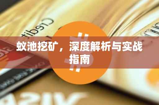蚁池挖矿，深度解析与实战指南