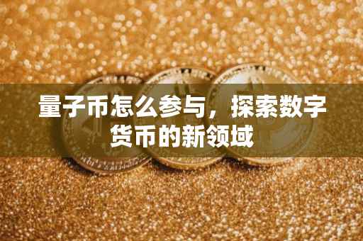 量子币怎么参与，探索数字货币的新领域