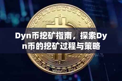 Dyn币挖矿指南，探索Dyn币的挖矿过程与策略