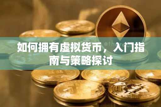 如何拥有虚拟货币，入门指南与策略探讨