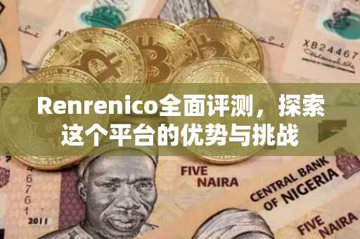 Renrenico全面评测，探索这个平台的优势与挑战