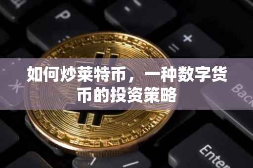 如何炒莱特币，一种数字货币的投资策略