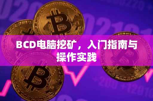 BCD电脑挖矿，入门指南与操作实践